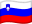 Slovenia icon