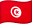 Tunisia icon